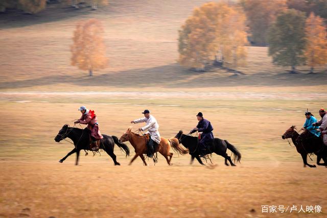 草原骑马体验营，感受民族传统运动魅力的简单介绍