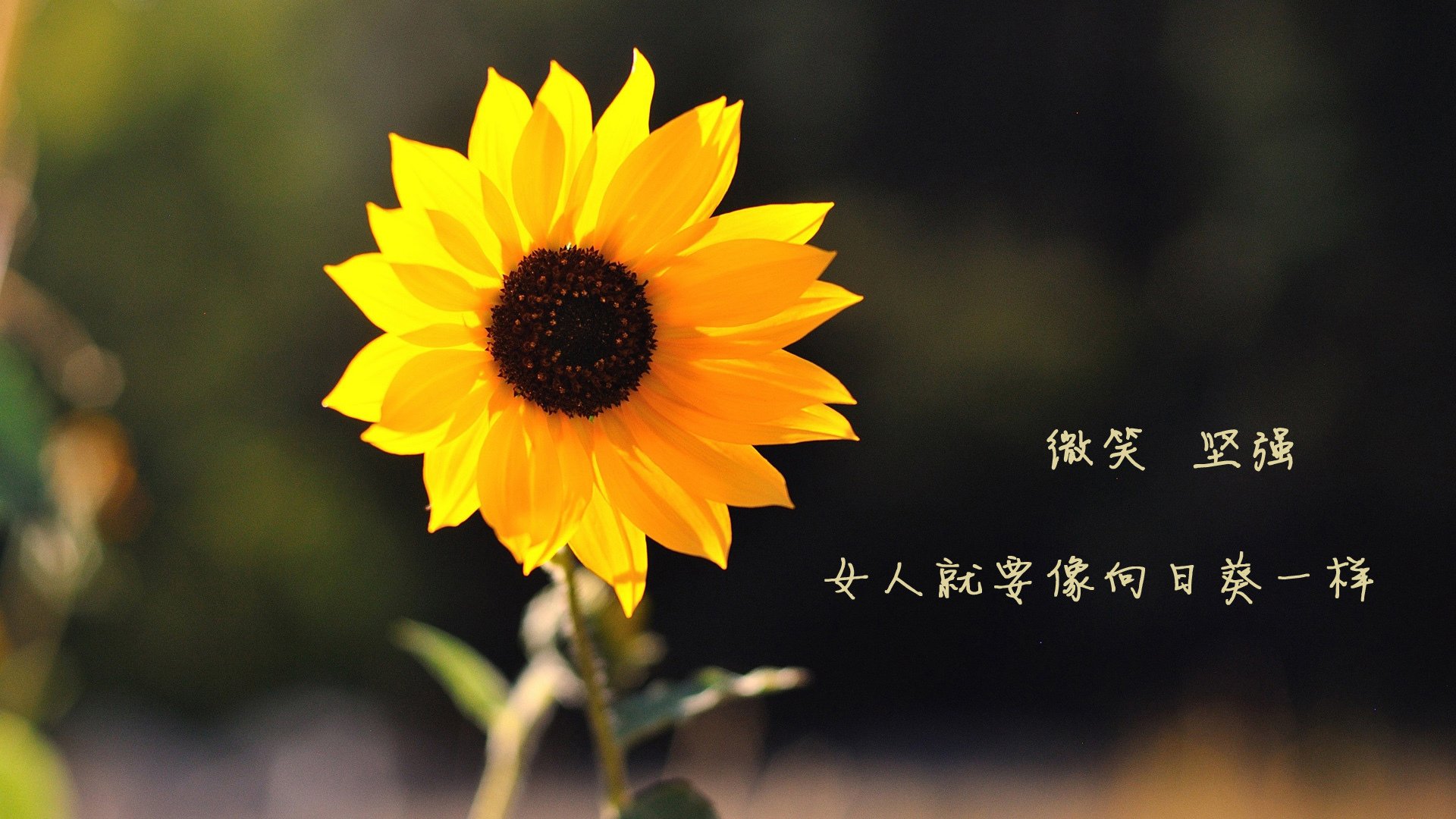 中国体育界携手推动篮球运动“走出去”，拓展国际市场，中国篮球体制建设的发展