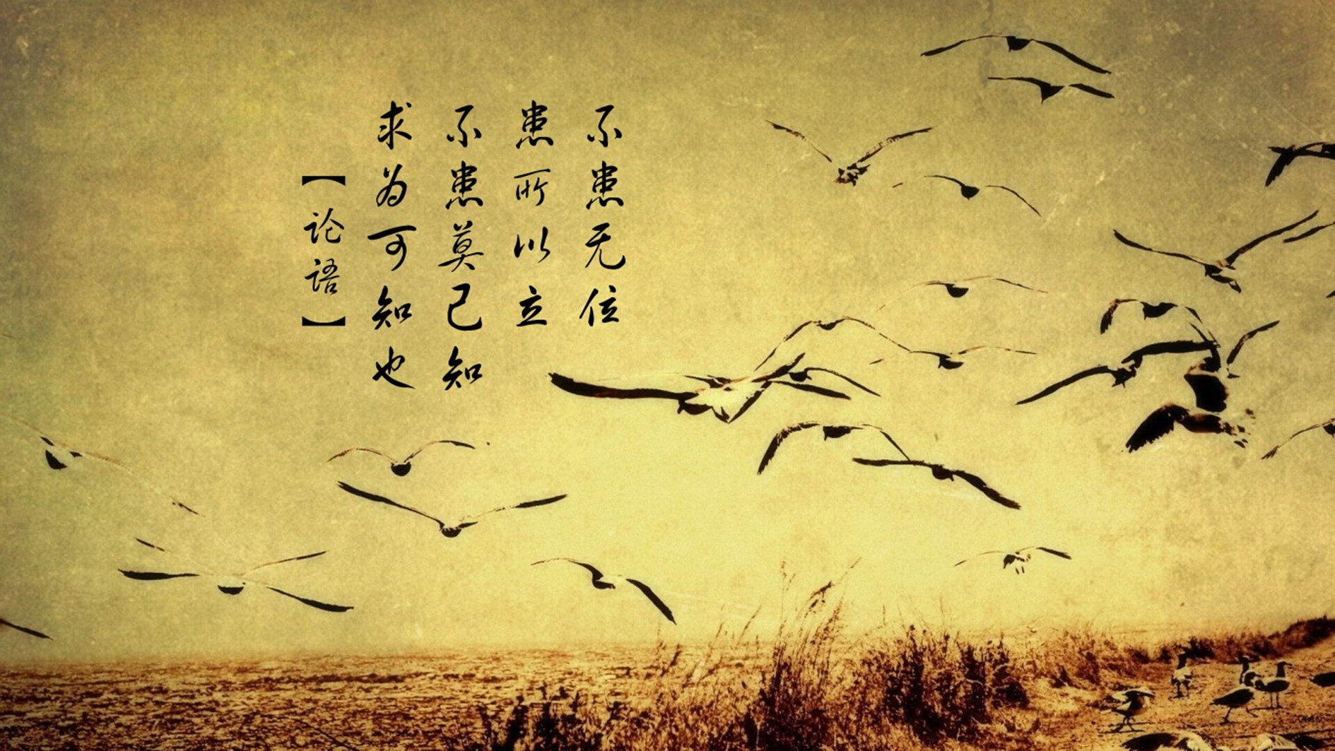 奥运村生活保障服务全面升级，奥运村条件