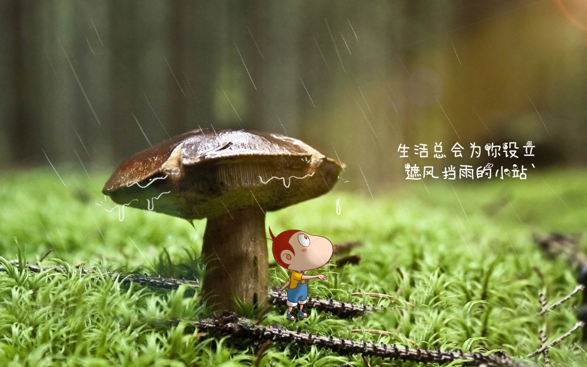 APP下载 LY Sports-尼克斯加强挡拆配合创造外线空间，尼克斯强不强